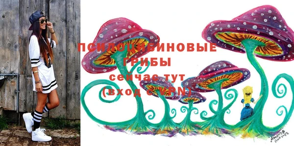 прущие крисы Нефтекумск